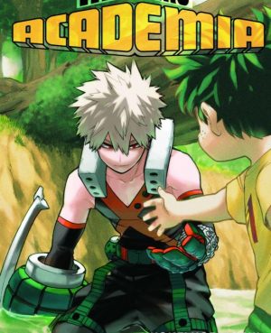 My Hero Academia 29