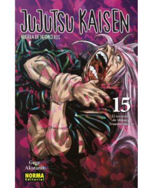 Jujutsu Kaisen 15