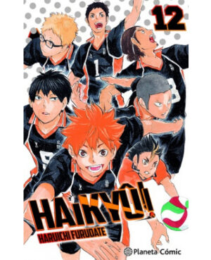 Haikyu! 12