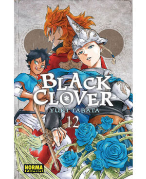 Black Clover 12