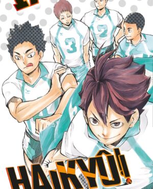 Haikyû!! 17