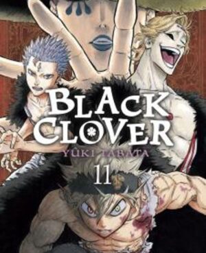 Black Clover 11