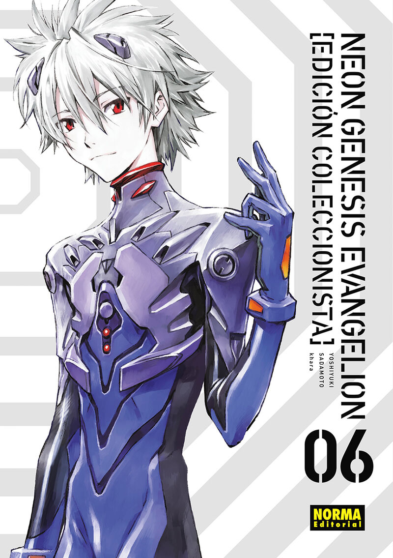 Neon Genesis Evangelion 6 (Ed. Coleccionista)