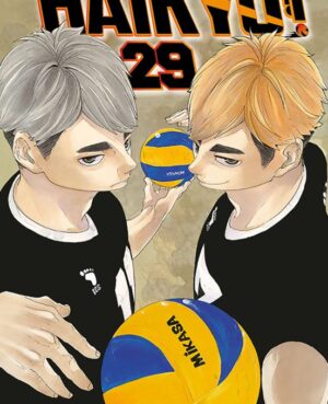 Haikyu!! 29