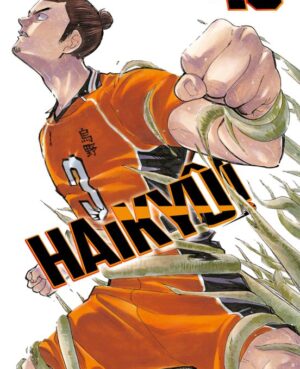 Haikyu 40