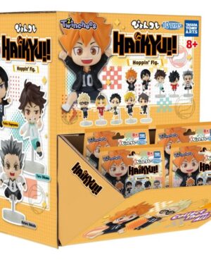 Blind Box Mini Figures Twinchees Haikyu!!